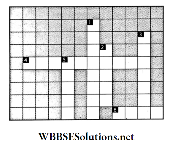 WBBSE Solutions For Class 7 Geography Chapter 9 Continent Of Asia Topic D Oil Field Of South West Asia Crossword