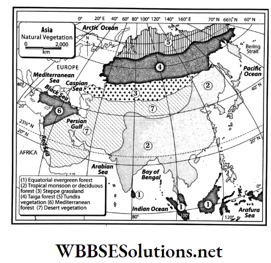 WBBSE Solutions For Class 7 Geography Chapter 9 Topic A Revolution Of The Earth Natural vegetation belts in Asia