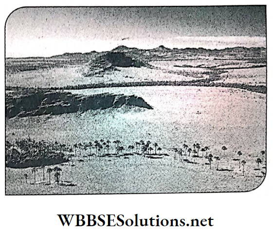 WBBSE Solutions For Class 8 Geography Chapter 10 Topic A General Introduction And Physical Environment Of South America Atacama Desert