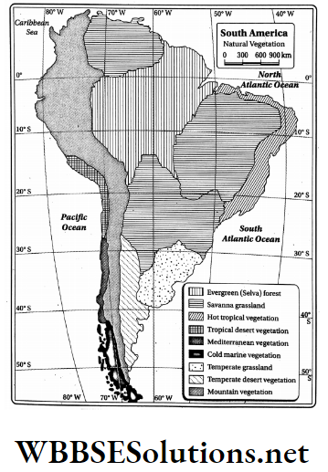 WBBSE Solutions For Class 8 Geography Chapter 10 Topic A General Introduction And Physical Environment Of South America Natural Vegetation of south America