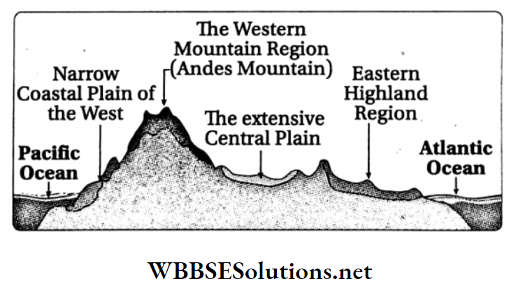 WBBSE Solutions For Class 8 Geography Chapter 10 Topic A General Introduction And Physical Environment Of South America Topographic division of south America