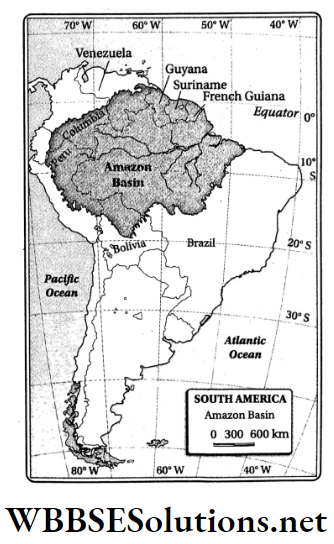 WBBSE Solutions For Class 8 Geography Chapter 10 Topic A General Introduction And Physical Environment Of South America location of Amazon Basin