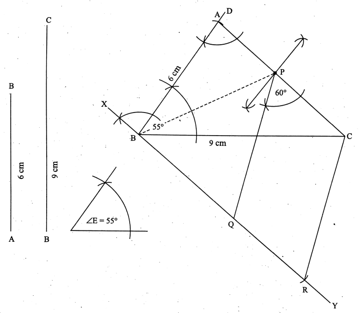 WBBSE Solutions For Class 9 Maths Solid Geometry Chapter 5 Construction Drawing Of Parallelograms Equal To The Area Of A Given Triangle Question 2 Q 2