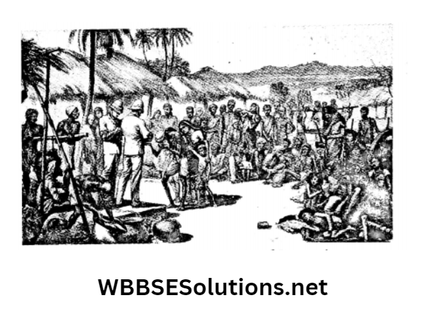 Wbbse Solutions For Class 8 History Chapter 4 Nature Of Colonial Economy Poor Cultivators Society of Bengal