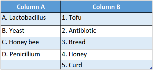 school science chapter 1 interdepenence of organisms and envuronment match the column table2