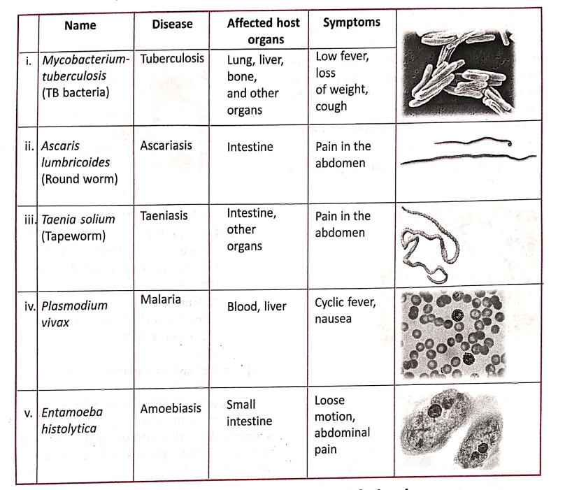 school science chapter 1 interdepenence of organisms and envuronment table 2