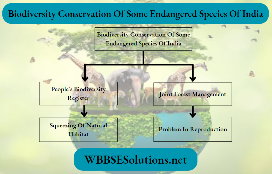 Biodiversity Conservation Of Some Endangered Species Of India