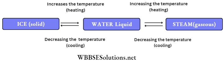 Chapter 3 Element compound and Mixture ice water steam