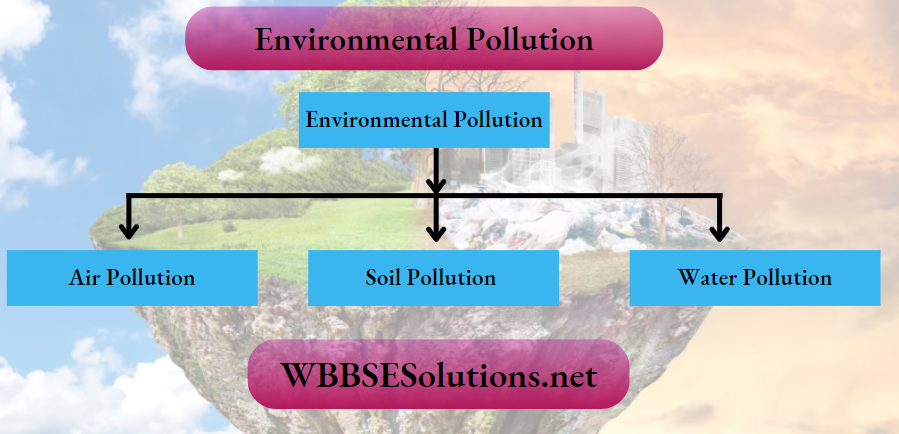 Environmental Pollution Summary