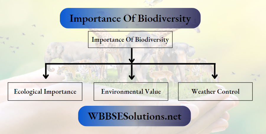 Importance Of Biodiversity