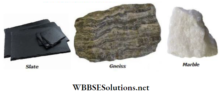 WBBSE Solutions Class 6 School Science Chapter 4 Rocks and Minerals Marble and slate
