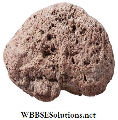 WBBSE Solutions Class 6 School Science Chapter 4 Rocks and Minerals Pumice