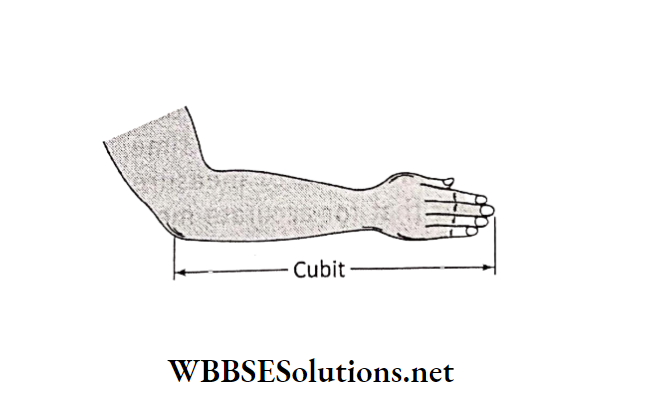 WBBSE Solutions Class 6 School Science Chapter 5 Measurement cubit