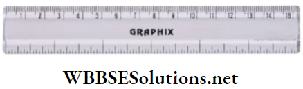 WBBSE Solutions Class 6 School Science Chapter 5 Measurement metre scale