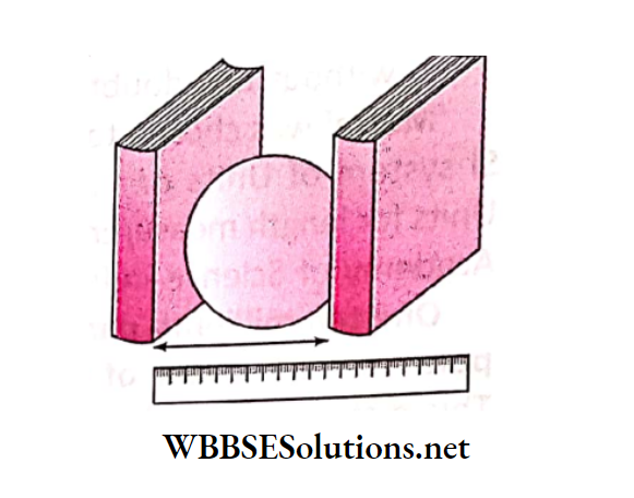 WBBSE Solutions Class 6 School Science Chapter 5 Measurement surface area