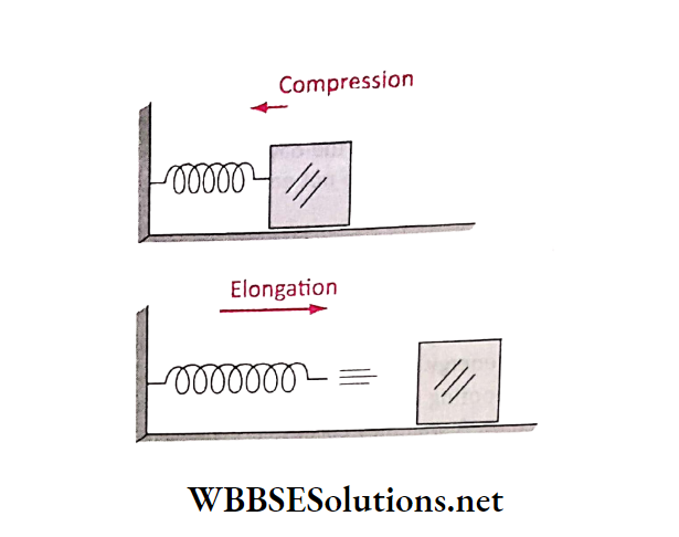 WBBSE Solutions Class 6 School Science Chapter 6 Primary Concept Of Force and Energy compression and elongation