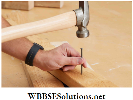 WBBSE Solutions Class 6 School Science Chapter 6 Primary Concept Of Force and Energy the nail does not penetrate into the plank