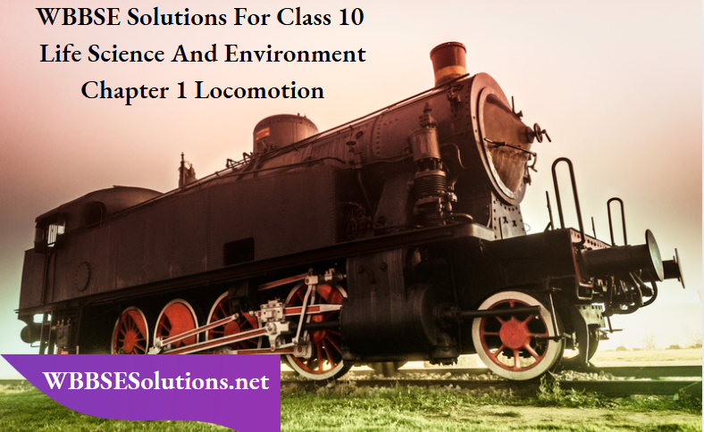 WBBSE Solutions For Class 10 Life Science And Environment Chapter 1 Locomotion