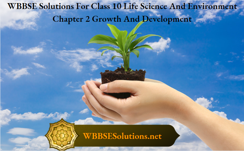 WBBSE Solutions For Class 10 Life Science And Environment Chapter 2 Growth And Development