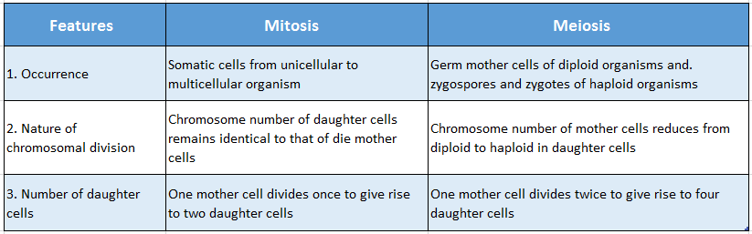WBBSE Solutions For Class 10 Life Science And Environment Chapter 2 Mitotic And Meiotic Differences between mitosis and meiosis