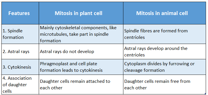 WBBSE Solutions For Class 10 Life Science And Environment Chapter 2 Mitotic And Meiotic Differences between mitosis in plant cell and animal cell