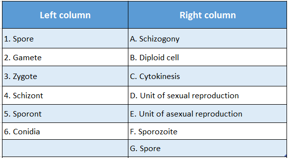 WBBSE Solutions For Class 10 Life Science And Environment Chapter 2 Reproduction Match the columns 1