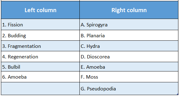 WBBSE Solutions For Class 10 Life Science And Environment Chapter 2 Reproduction Match the columns 2