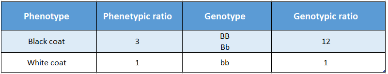 WBBSE Solutions For Class 10 Life Science And Environment Chapter 3 Mendel's Laws And Their Deviation Phenotypic and genotypic ratio of guinea pig of F2 generation.