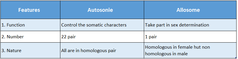 WBBSE Solutions For Class 10 Life Science And Environment Chapter 3 Sex Determination Of Human Differences between autosome and allosome (1)