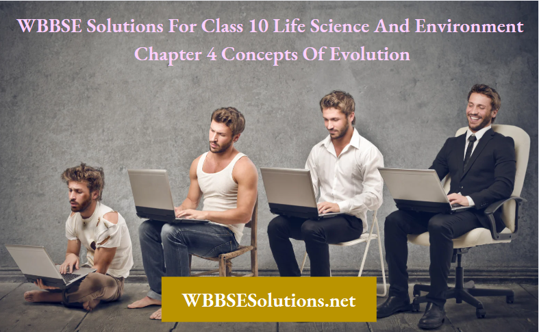WBBSE Solutions For Class 10 Life Science And Environment Chapter 4 Concepts Of Evolution
