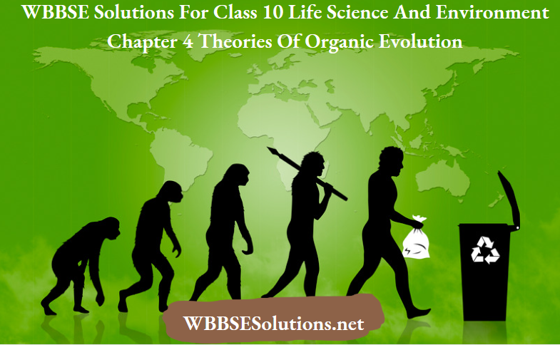 WBBSE Solutions For Class 10 Life Science And Environment Chapter 4 Theories Of Organic Evolution