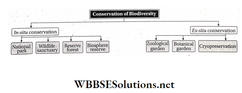 WBBSE Solutions For Class 10 Life Science And Environment Chapter 5 Biodiversity Conservation Conservation of Biodiversity