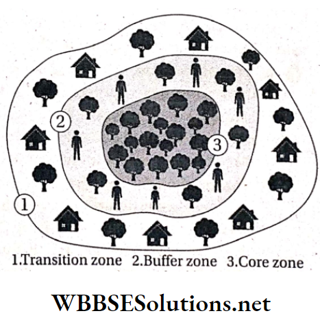 WBBSE Solutions For Class 10 Life Science And Environment Chapter 5 Biodiversity Conservation Different zones of a biosphere reserve