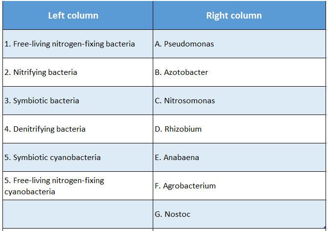 WBBSE Solutions For Class 10 Life Science And Environment Chapter 5 Nitrogen Cycle Match The Columns 1