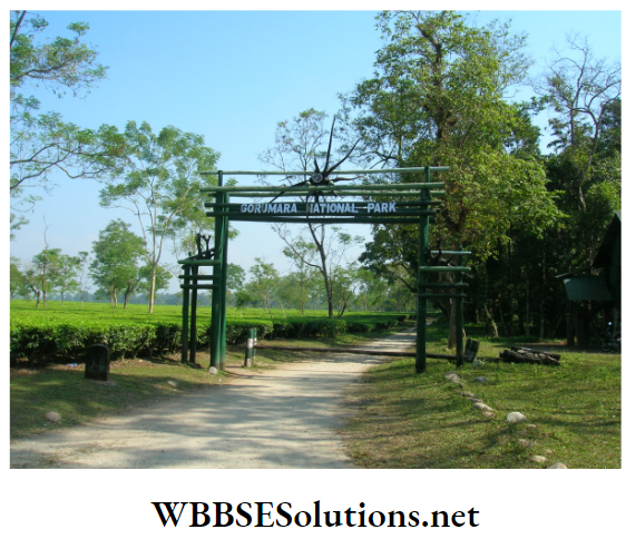 WBBSE Solutions For Class 10 Life Science And Environment Chapter 5 Role Of JFM And PBR In Biodiversity Conservation Gorumara national park