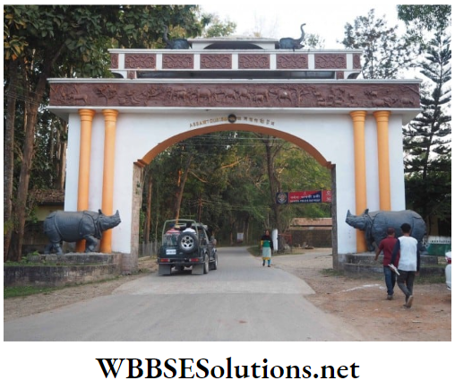 WBBSE Solutions For Class 10 Life Science And Environment Chapter 5 Role Of JFM And PBR In Biodiversity Conservation Kaziranga national park