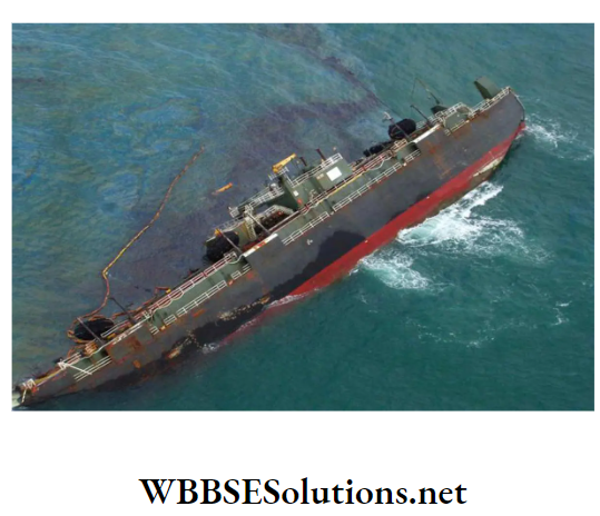 WBBSE Solutions For Class 10 Life Science And Environment Chapter 5 Topic 2 Environmental Pollution Oil spill