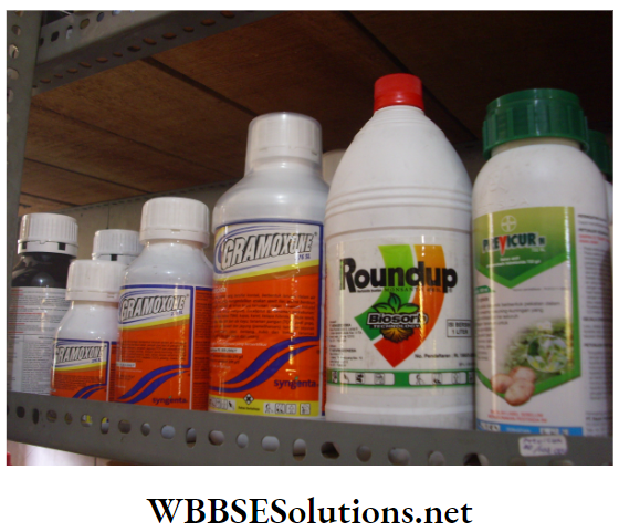 WBBSE Solutions For Class 10 Life Science And Environment Chapter 5 Topic 2 Environmental Pollution Pesticides