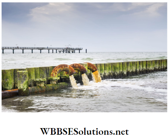 WBBSE Solutions For Class 10 Life Science And Environment Chapter 5 Topic 2 Environmental Pollution Water pollution by sewage disposal