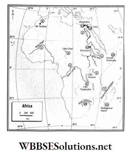 WBBSE Solutions For Class 7 Geography Chapter 10 Map Pointing Outline map of Africa.