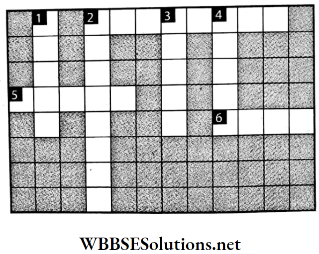 WBBSE Solutions For Class 7 Geography Chapter 10 Topic C Worlds Largest Hot Desert Sahara Crossword