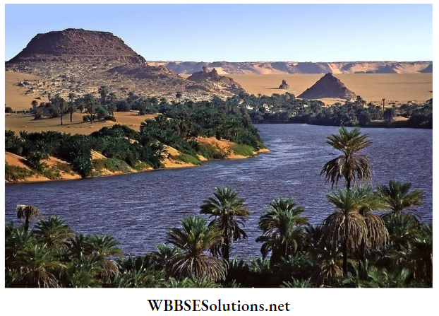 WBBSE Solutions For Class 7 Geography Chapter 10 Topic C Worlds Largest Hot Desert Sahara Oasis