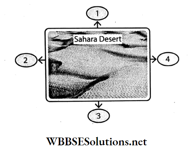 WBBSE Solutions For Class 7 Geography Chapter 10 Topic C Worlds Largest Hot Desert Sahara places surrounding the sahara desert