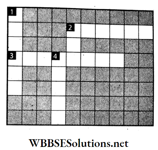 WBBSE Solutions For Class 7 Geography Chapter 11 Continent Of Europe Topic D Polderland Crossword.,