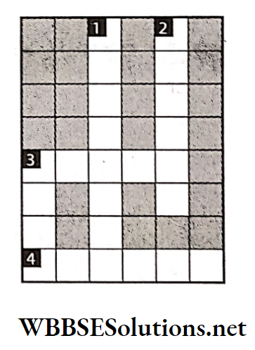 WBBSE Solutions For Class 7 Geography Chapter 11 Continent Of Europe Topic D Polderland Crossword