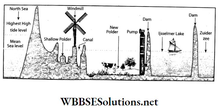 WBBSE Solutions For Class 7 Geography Chapter 11 Continent Of Europe Topic D Polderland Formation Of Polderland