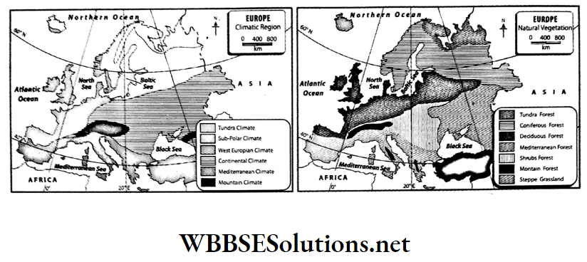 WBBSE Solutions For Class 7 Geography Chapter 11 Topic A General Introduction Of The Continent Of Europe Climatic and Natural vegetation of Europe