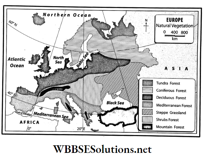 WBBSE Solutions For Class 7 Geography Chapter 11 Topic A General Introduction Of The Continent Of Europe Natural vegetation of Europe