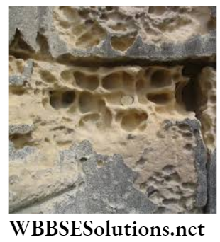 WBBSE Solutions For Class 9 Geography And Environment Chapter 5 Weathering granular disintegration