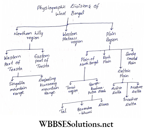 WBBSE Solutions For Class 9 Geography And Environment Chapter 8 west Bengal physiographic divisions of west Bengal